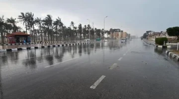 الأرصاد تتوقع استمرار فرص سقوط الأمطار على القاهرة الكبرى خلال طقس اليوم